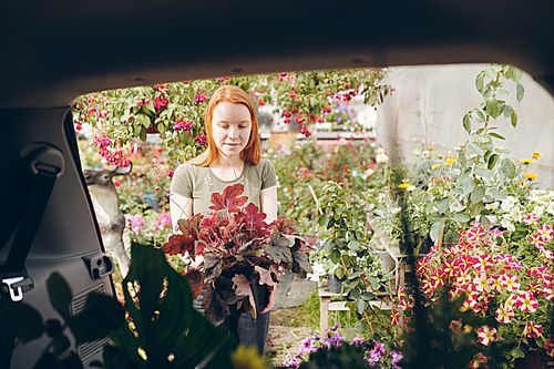 Content attractive redhead florist standing by open car and putting flowers in car while purchasing flowers for own shop at market