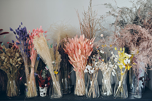 Background image of colorful fluffy dried flowers in glass vases placed on shelf