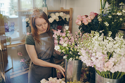 Skilled female florist with red hair wearing apron standing in flower refrigerator and taking care of flowers, behind glass image