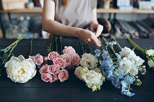 Close-up of unrecognizable florist standing at dark blue wooden table and preparing flower for arranging bouquet