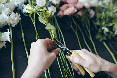 Close-up of unrecognizable female florist using hand pruners while cutting leaves of flower in workshop