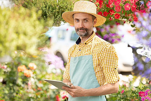 Bearded mature man in apron and hat scrolling in touchpad while surfing in the net for information about new plants