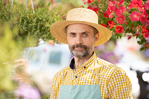 Mature gardener in hat and apron standing among flowers in bloom in front of camera while working in greenhouse