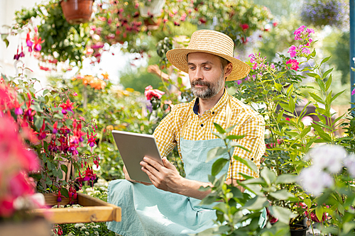 Mature gardener in hat and workwear sitting among blooming flowers and surfing in the net for some information