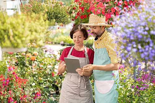 Young woman and her mature colleague in aprons looking at touchpad display while networking in greenhouse