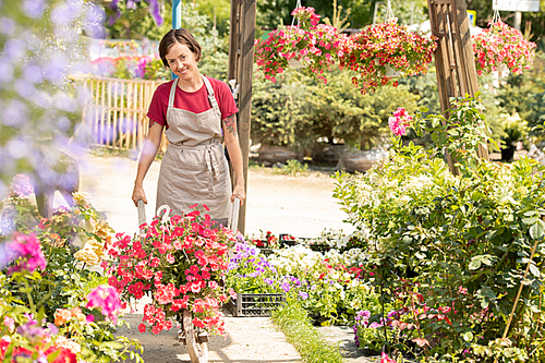 Happy young garden worker in apron pushing cart with new sorts of flowers while going to plant them in greenhouse