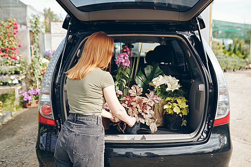 Rear view of redhead woman in tshirt and jeans standing by open trunk and loading flowers into car after shopping at flower market