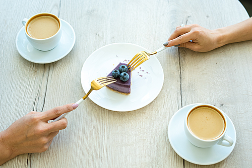 Hands of two girls with forks taking piece of tasty blueberry cheesecake on plate while having cappuccino in cafe
