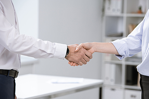 Successful business partners welcoming each other by handshake after signing new contract at meeting