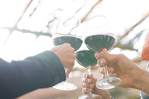 Hands of several friends clinking with wineglasses of bordo cabernet while toasting for success at party