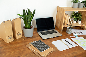 Potted flowers on shelf and table, laptop, notebooks, paper, pen and folders on workplace by the wall