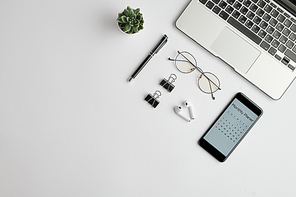Cordless earphones, eyewear, pen, clips, monthly planner in the phone, small green domestic plant in flowerpot and laptop on white background