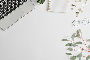 Notebook, clips, small green domestic plant in flowerpot, branch with leaves and laptop keypad on white desk