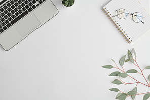Notebook, eyeglasses, small green domestic plant in flowerpot, branch with leaves and laptop keypad on white desk