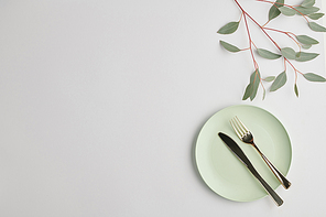 Flatlay of white porcelain plate with steel knife and fork and branch of domestic plant with green leaves near by