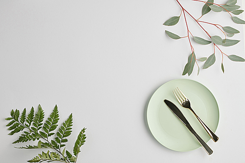 Flatlay of white porcelain plate with steel knife and fork and plants with green leaves near by with copyspace for your text