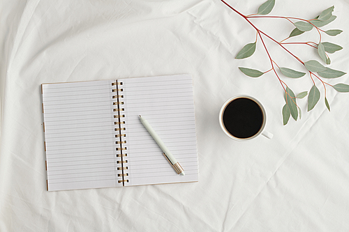 Flatlay of open notebook with blank pages and pen, cup of black coffee and branch of plant with green leaves on white background