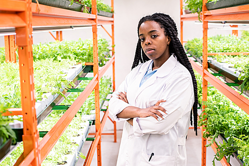 Young contemporary African biologist in whitecoat crossing arms by chest while working in greenhouse