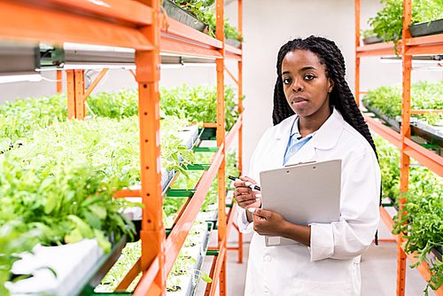Young serious African female biologist looking at you while making research and notes during work in greenhouse