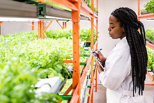 Contemporary young female biologist making notes in document while standing by shelf with green seedlings inside greenhouse