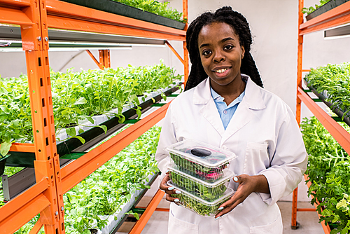 Young successful female agronomist in whitecoat holding stack of plastic containers with fresh green leaves