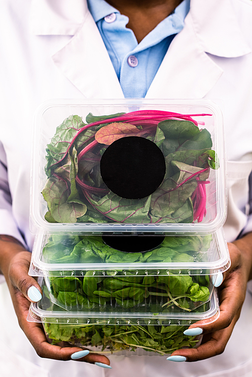 Three plastic containers with fresh beet leaves and other organic food held by African greenhouse worker