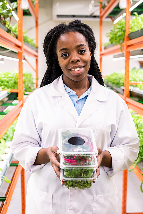 Successful African female agronomist holding stack of plastic containers with fresh green leaves in greenhouse