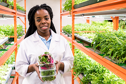 Young smiling female greenhouse worker with stack of containers standing between shelves with green seedlings