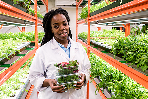 Cheerful young African greenhouse worker in whitecoat holding three containers with fresh green leaves