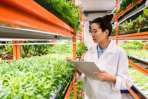Young serious Asian woman in whitecoat standing by shelf with green seedlings and looking at their leaves
