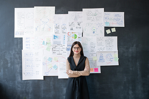 Young elegant female economist standing by blackboard with flow charts and diagrams on papers