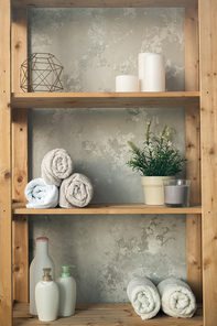 Wooden shelves with rolled towels, plastic jars with shower gel and liquid soap, green plant in flowerpot and candles against grey wall