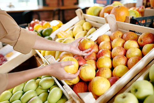 Hands of young woman taking two ripe yellow apples from wooden box in supermarket while choosing fruits