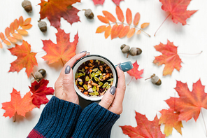 Female hands on mug with hot herbal tea over table with red maple and rowan leaves and acorns