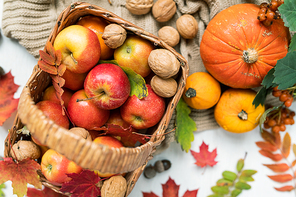 Overview of basket with red ripe apples, walnuts, pumpkins and autumn leaves of maple and rowan trees