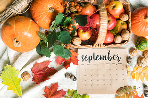 September harvest of ripe apples and walnuts in basket, pumpkins, acorns and leaves near by making autumn composition