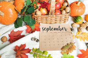 September background with basket of ripe apples and pumpkins, walnuts, acorns and autumn leaves near by