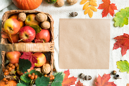 Top view of blank sheet of paper among autumn leaves, acorns, walnuts and ripe apples that can be used as background