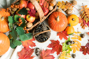 Overview of basket with ripe apples surrounded by pumpkins, autumn leaves, acorns, walnuts and firtree cones