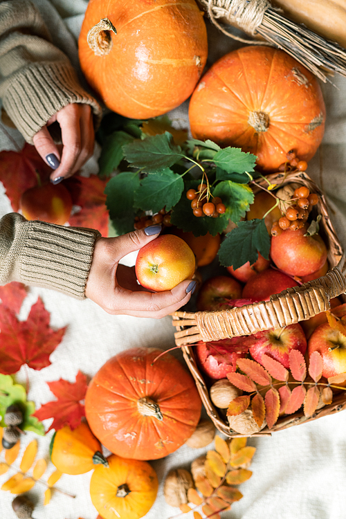 Human hand taking apple from basket standing on table among ripe pumpkins and leaves