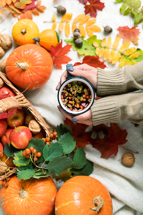 Overview of human hands holding hot tea with herbs among ripe pumpkins, apples and autumn leaves