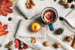 Oveview of ripe apple, mug of hot herbal tea with lemon, dry leaves, cone, star anise, acorns and walnut on woolen jumper