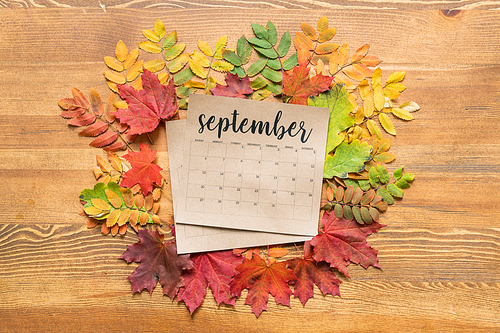 Overview of September calendar surrounded by colorful autumn leaves on wooden background