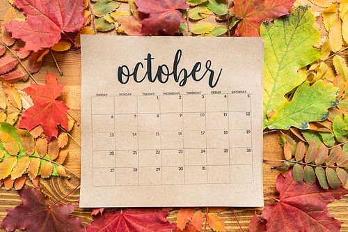 Overview of October calendar sheet and group of colorful autumn leaves on wooden table