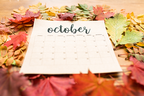 Autumn composition consisting of paper sheet of October calendar and leaves of various colors