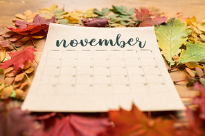 November calendar on paper sheet surrounded by multiple autumn leaves of vivid colors