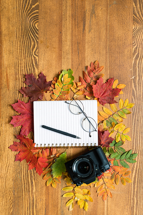 Top view of photocamera, copybook with pen and eyeglasses surrounded by red, green and yellow autumn leaves
