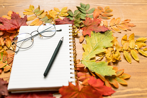 Autumn composition consisting of colorful leaves surrounding copybook with pen and eyeglasses on wooden table