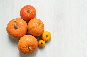 Group of ripe orange big and small pumpkins on white background in isolation with copyspace on the right