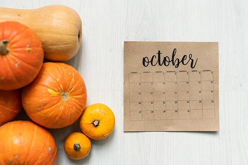 Overview of October calendar sheet and group of ripe orange and yellow pumpkins on white background